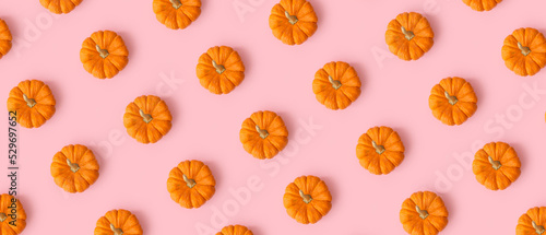 Many ripe pumpkins on pink background. Pattern for design photo