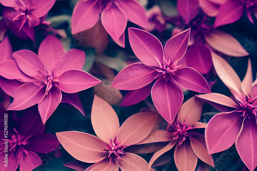 Exotic looking pink flowers similar to Frangipani. Digital art floral backgrond. 