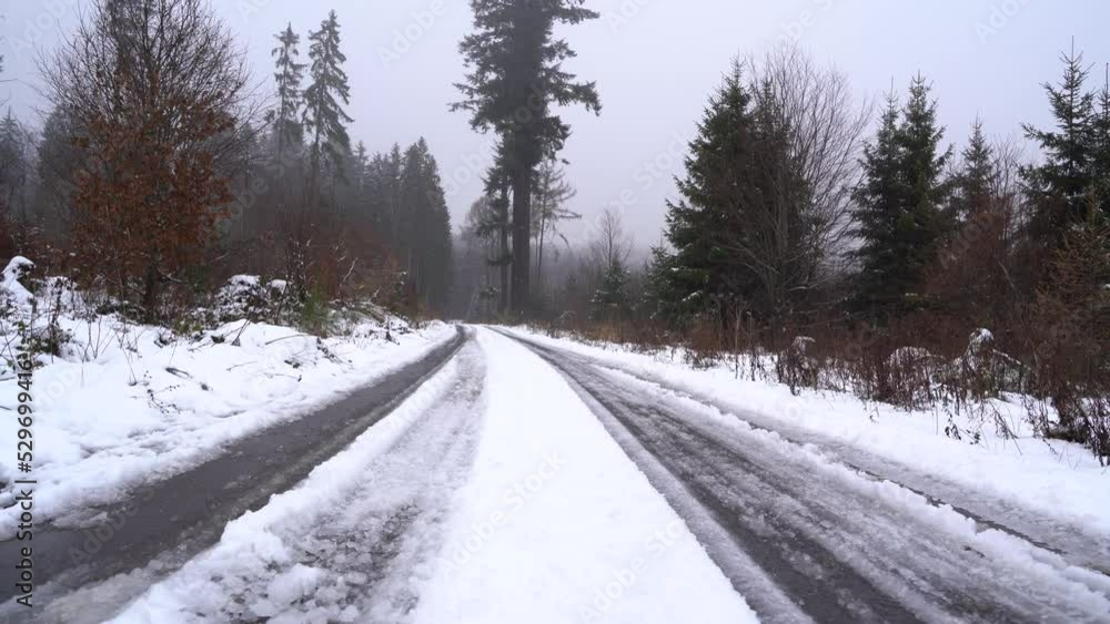 Walking on a snow covered asphalt path in the forest
Walking on a snow covered asphalt path in the forest
