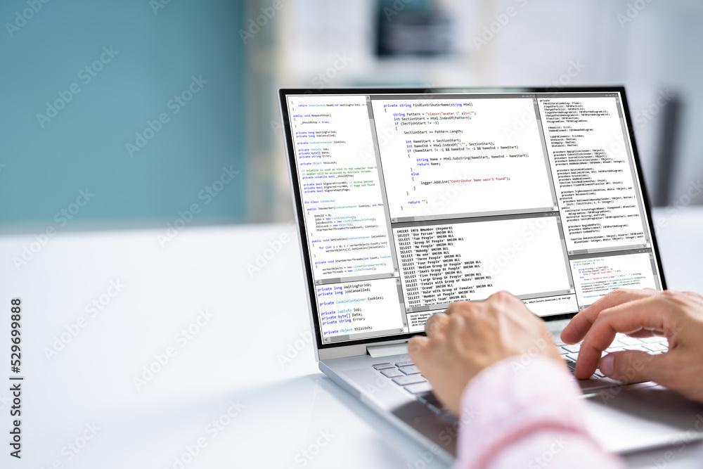 Computer Programmer Using Development Software Computer Programmer Using Development Software