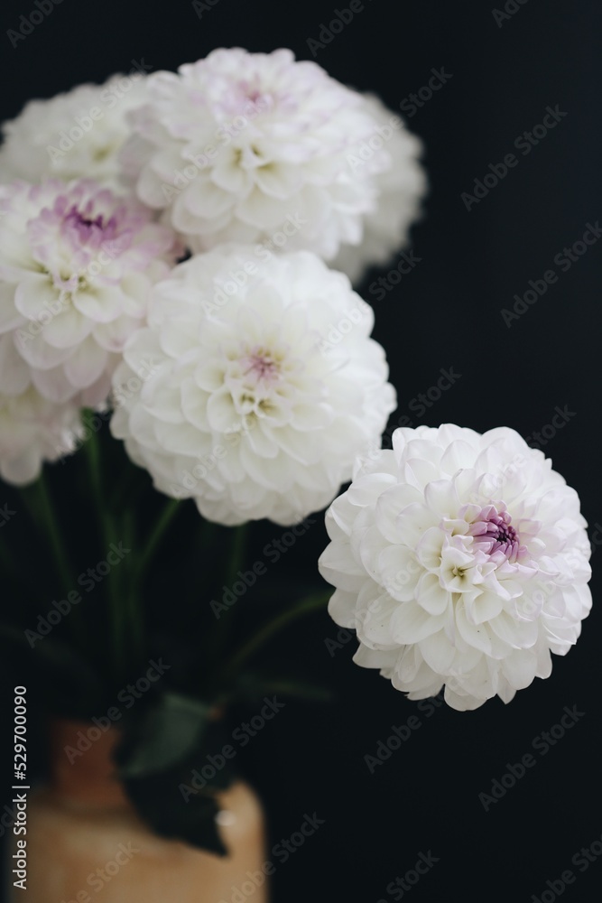 bouquet of roses bouquet of roses