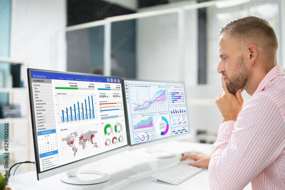 Fototapeta premium Business Data Analytics Dashboard