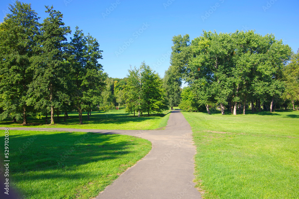 Moldova. Kishinev. City arboretum. View of the alleys and green trees and grass.