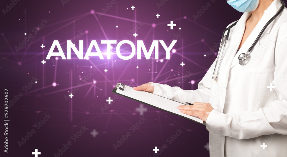 Doctor fills out medical record Doctor fills out medical record