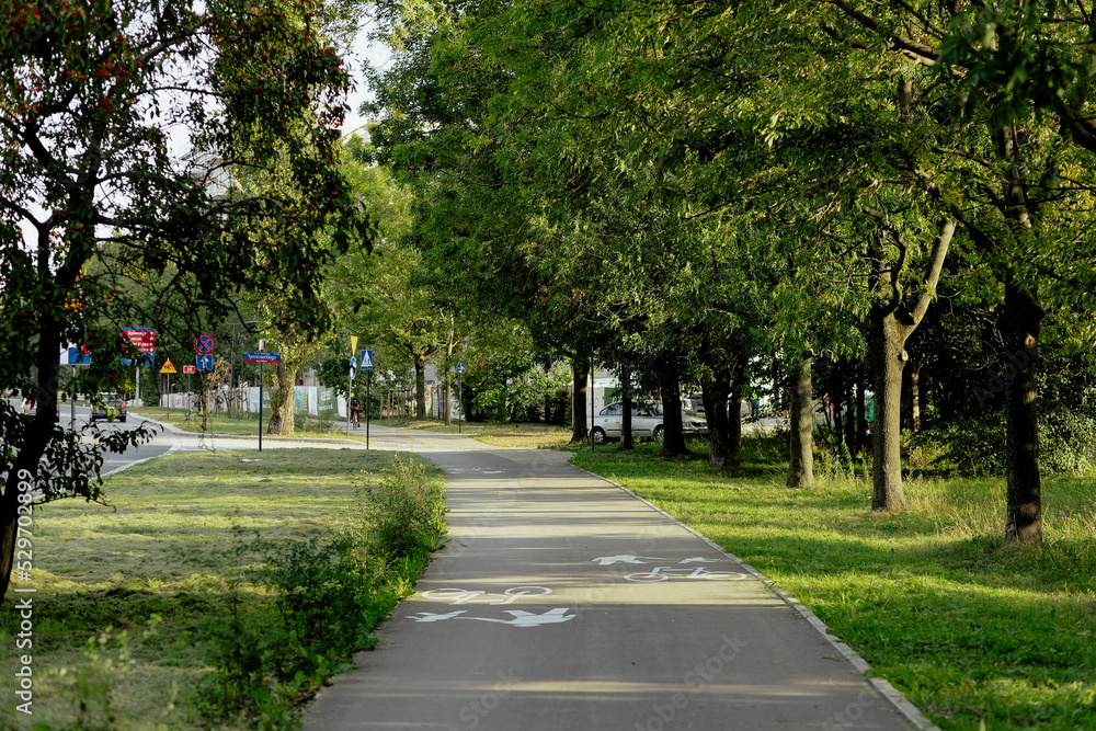 alley in the park