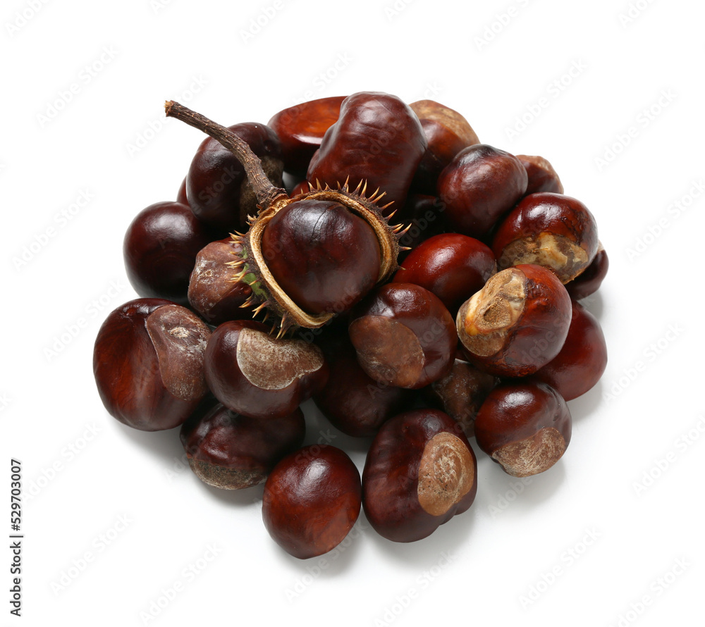 Fresh chestnuts on white background Fresh chestnuts on white background