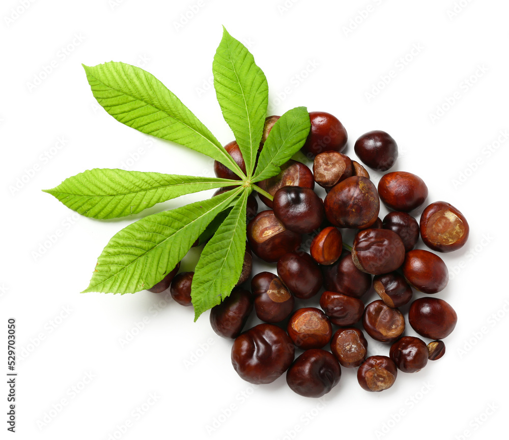 Fresh chestnuts with leaf on white background Fresh chestnuts with leaf on white background