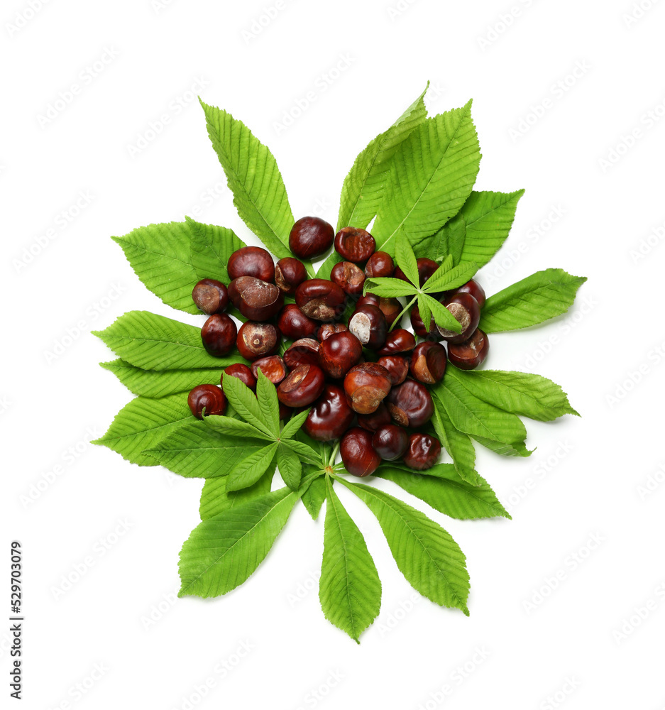 Heap of chestnuts and leaves on white background Heap of chestnuts and leaves on white background