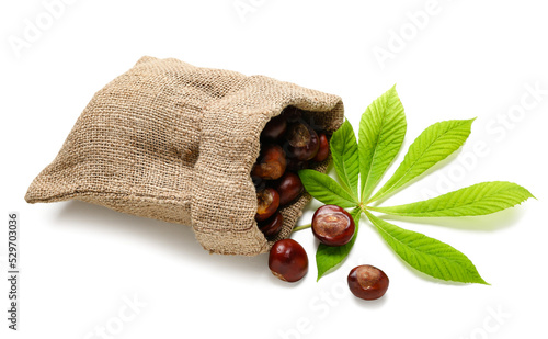 Foto Sack bag with chestnuts and leaf on white background