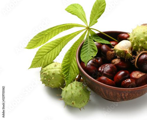 Bowl with chestnuts and leaf on white background