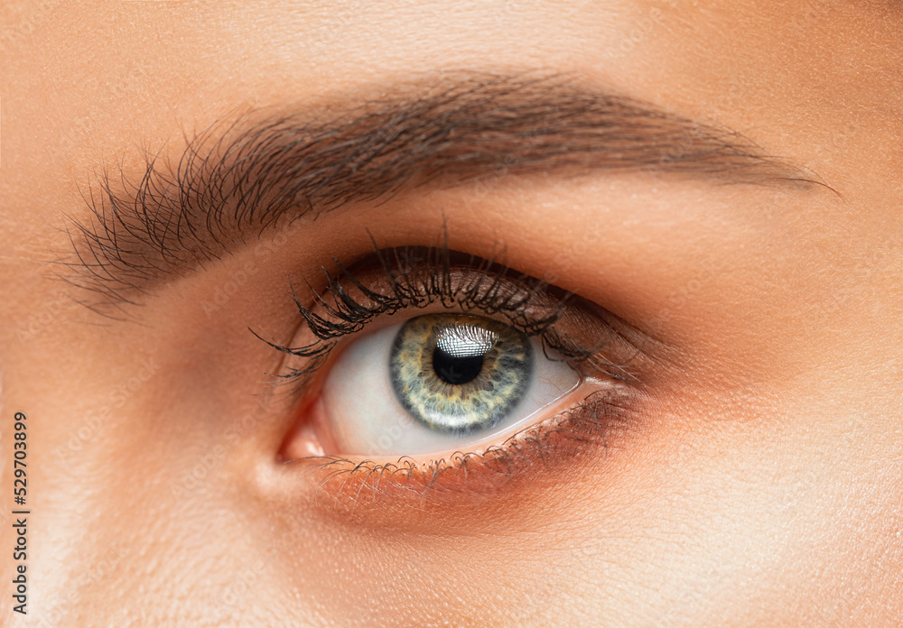 Fototapeta premium The make-up artist does Long-lasting styling of the eyebrows and will color the eyebrows. Eyebrow lamination. Professional make-up and face care.