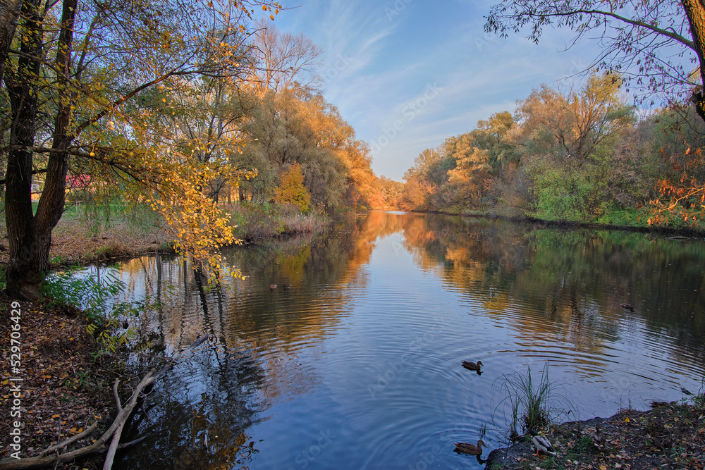 Fototapeta premium Autumn colors by the river