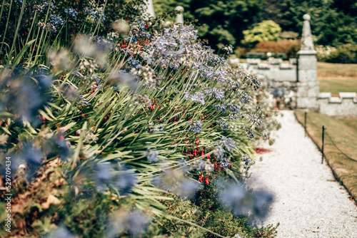 Exterior and garden view around Lanhydrock House in Cornwall, England photo