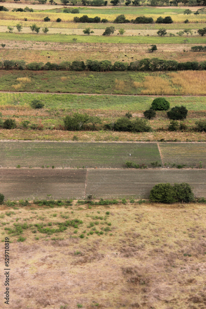 Aerial views of green scenery of farms, mountains, and rivers some with horses and cows.