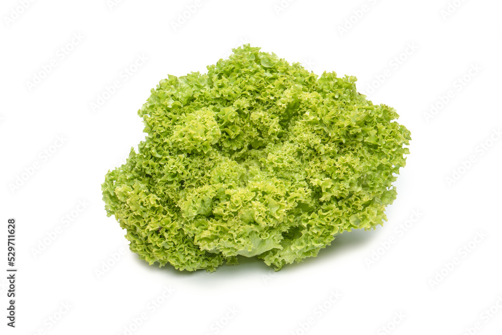 Iceberg lettuce isolated on white background. Iceberg lettuce isolated on white background.