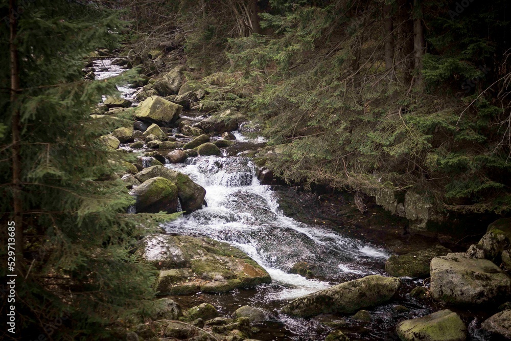 Krajobraz górski - Karkonosze. Widok na wzgórza, lasy i szczyty górskie