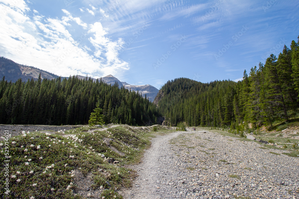 Obraz premium Saskatchewan Glacier, AB, Canada