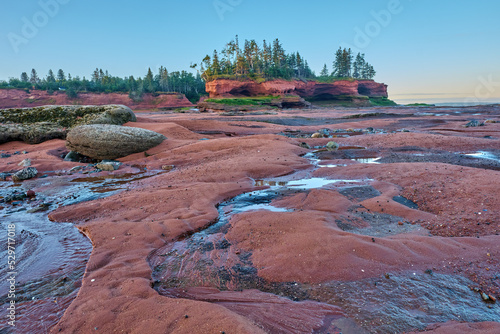 Bay of Fundy Floor Low Tide