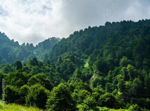 Caucasus mountain in georgian region Guria © Anna Bogush