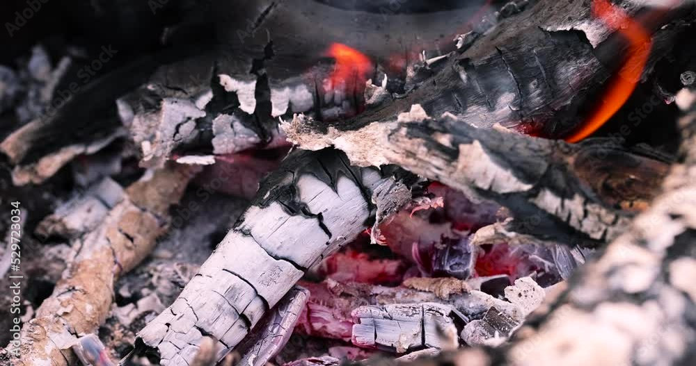 A fire made of logs while cooking barbecue on vacation at the weekend, burnt birch and pear logs while cooking meat on coals A fire made of logs while cooking barbecue on vacation at the weekend, burnt birch and pear logs while cooking meat on coals