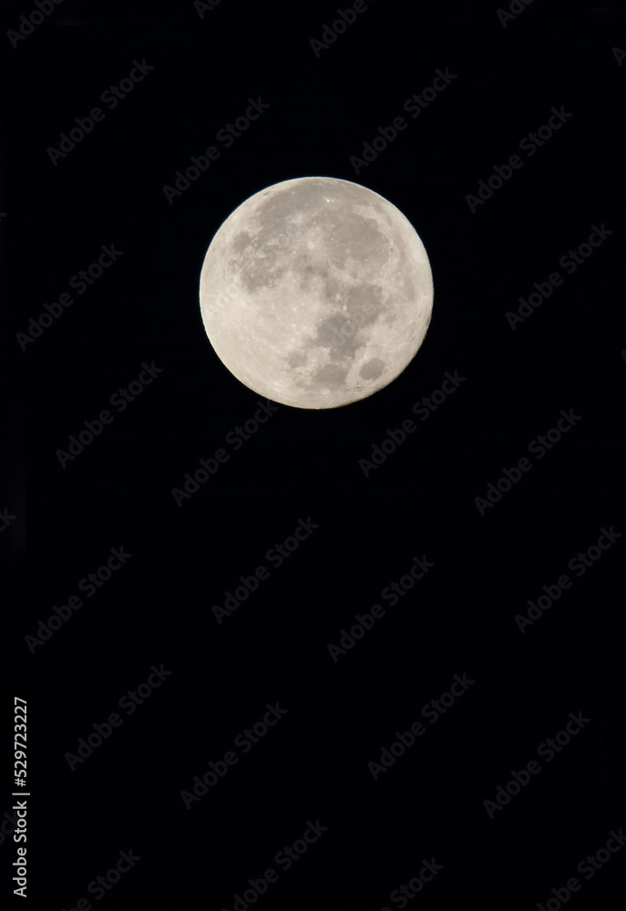 Obraz premium 中秋の名月 十五夜の満月