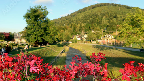 Fototapeta Naklejka Na Ścianę i Meble -  View from the footbridge over the Zylica river in Szczyrk, Poland