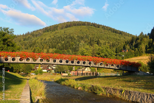 Fototapeta Naklejka Na Ścianę i Meble -  Footbridge over the Zylica river in Szczyrk, Poland