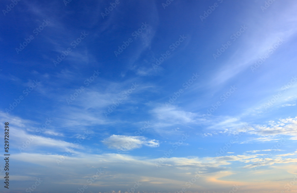 Obraz premium set of pictures of the beauty of nature in the morning
