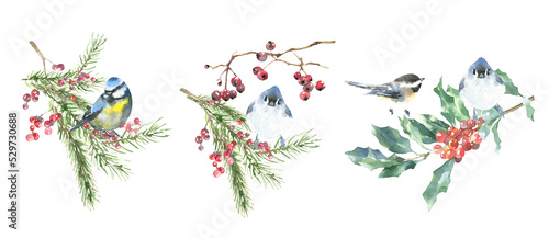 Merry Christmas Watercolor bird arrangement, bouquet, frame, scene illustration. Winter Woodland forest birds in plant,fir,twig,evergreen, berries, pine. blue tit, Nuthatch card decoration, invitation