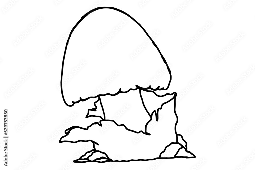 Fototapeta premium Mushroom Line Art Vector