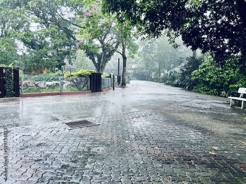 Wallpaper Mural bridge in the park Torontodigital.ca