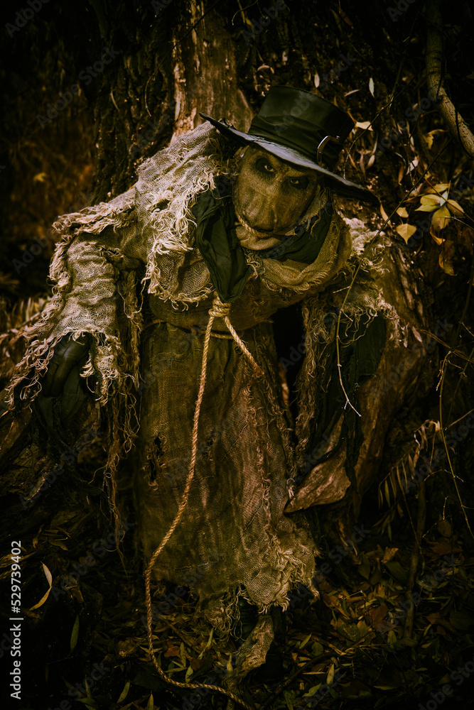 terrible scarecrow in woods