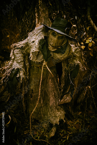 terrible scarecrow in woods