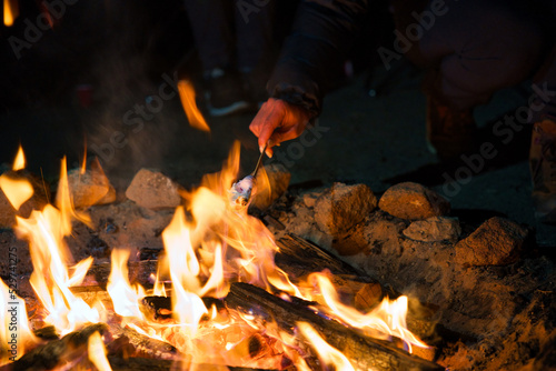 campfire in the forest