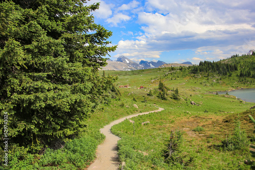 Sunshine Meadows Hiking Trail, Banff, Alberta, Canada