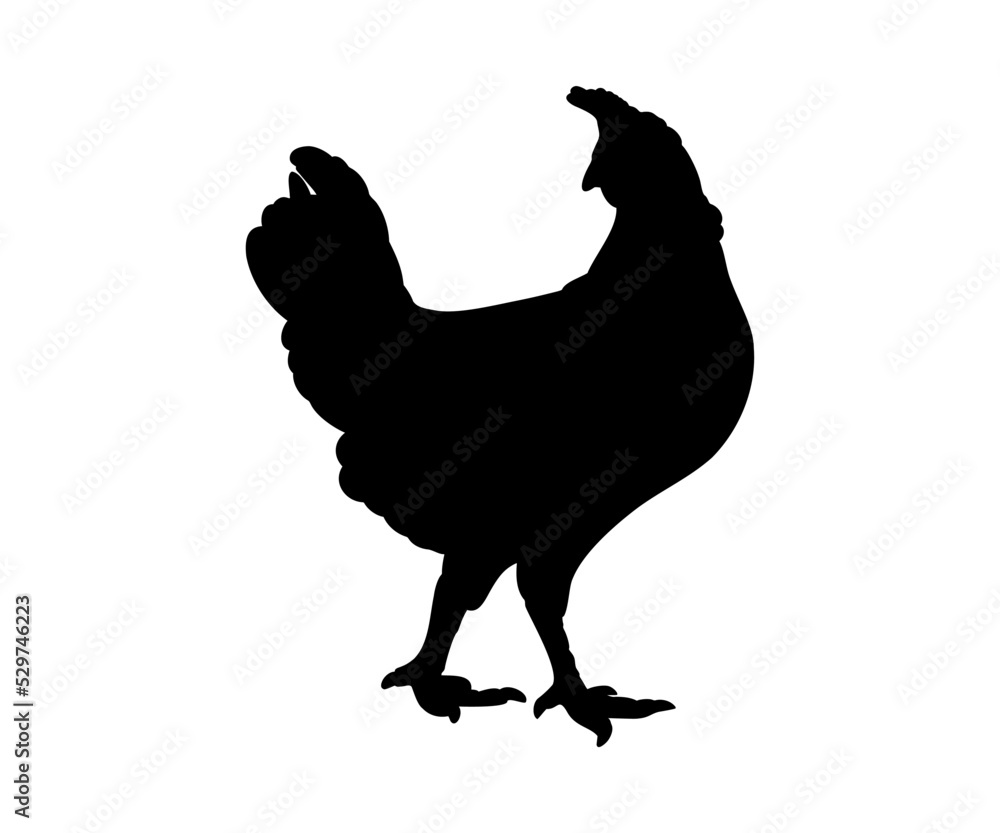 Hen or chicken silhouette isolated in white background. Free grazing hen bird in the runch. Hand drawn vector illustration Hen or chicken silhouette isolated in white background. Free grazing hen bird in the runch. Hand drawn vector illustration