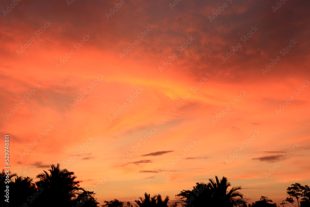 The rays of the sun in the twilight sky give a beautiful orange color