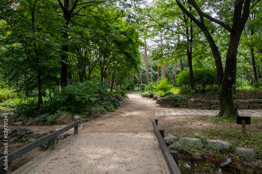 Walking path with tree along the way. Seoul Forest in Seoul, South Korea. Walking path with tree along the way. Seoul Forest in Seoul, South Korea.