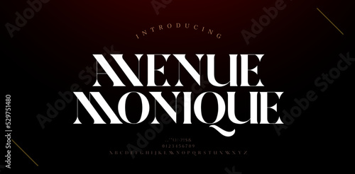 Luxury alphabet letters font and number. Typography Elegant classic lettering serif fonts decorative logo wedding vintage retro concept. vector illustration
