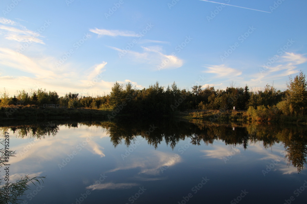reflection in the lake, Pylypow Wetlands, Edmonton, Alberta reflection in the lake, Pylypow Wetlands, Edmonton, Alberta