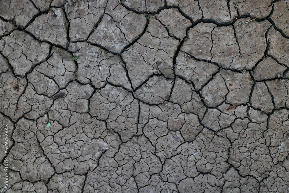 cracks on the ground desert texture background earth climate ecology cracks on the ground desert texture background earth climate ecology