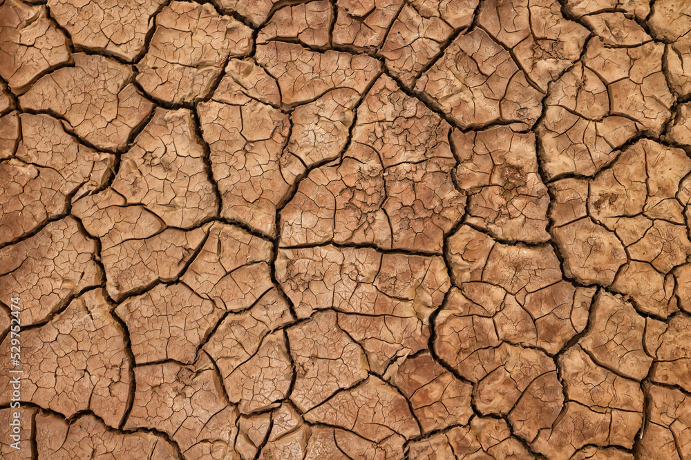 cracks on the ground desert texture background earth climate ecology cracks on the ground desert texture background earth climate ecology