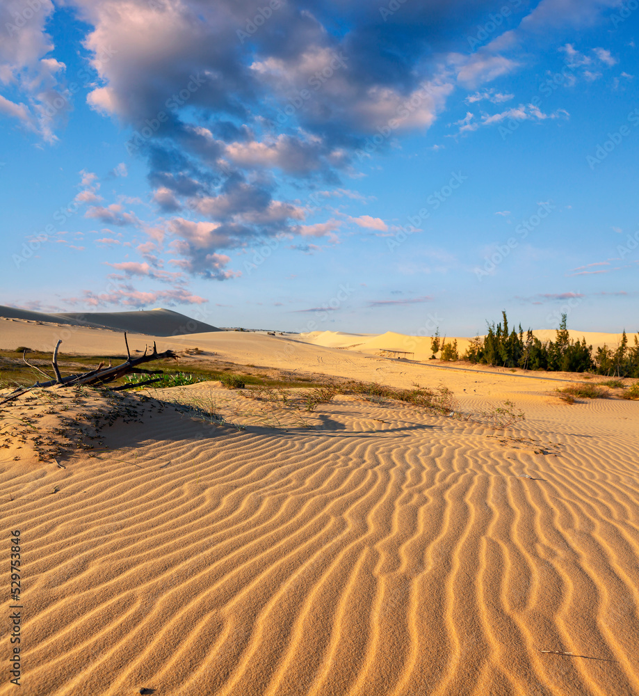 Panoramic shot of sand dunes and blue sky. Panoramic shot of sand dunes and blue sky.
