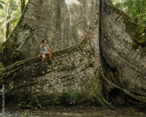 Mulher sentada na raíz de sumaúma gigante em Afuá, Pará. Monumento conhecido como muralha, na floresra Amazônica