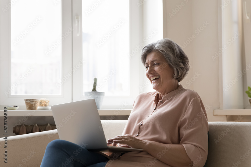 Happy retired grey haired customer woman talking on video call, sitting on home couch, holding laptop on lap, laughing at screen, watching movie on Internet, enjoying leisure, online communication Happy retired grey haired customer woman talking on video call, sitting on home couch, holding laptop on lap, laughing at screen, watching movie on Internet, enjoying leisure, online communication