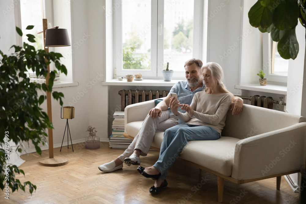 Happy retired older couple sitting on couch in new home interior, using online app on mobile phone, shopping on Internet, sharing gadget, talking on video call. Communication, retirement Happy retired older couple sitting on couch in new home interior, using online app on mobile phone, shopping on Internet, sharing gadget, talking on video call. Communication, retirement