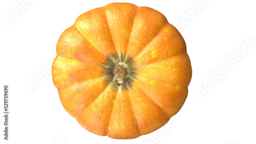 Top of a pumpkin with stem top view isolated on transparent png background. 3D Rendered illustration render.