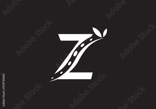 Physical massage therapy vector and spa health care icon spinal cord design vector letter Z