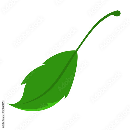 Blatt
