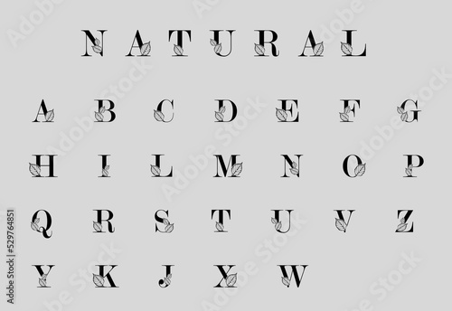 Botanical alphabet, letters with stylized leaves. Nature style font